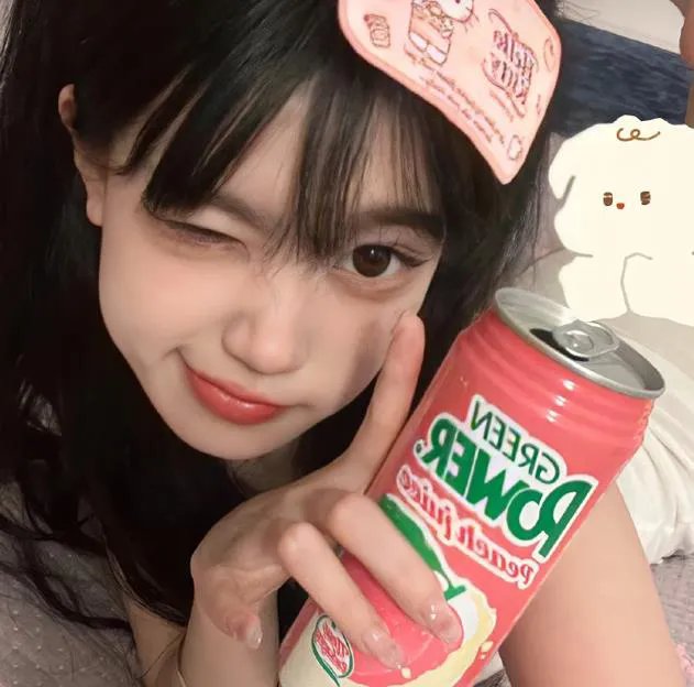 精武飞鸿